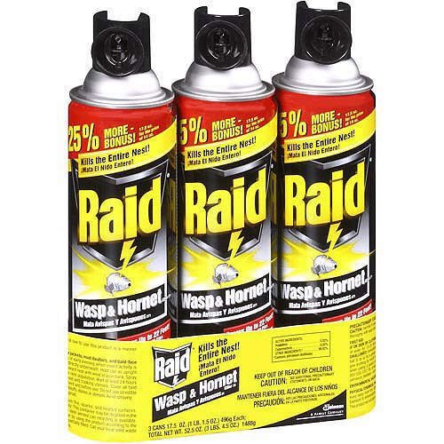 Best Foam Wasp Spray