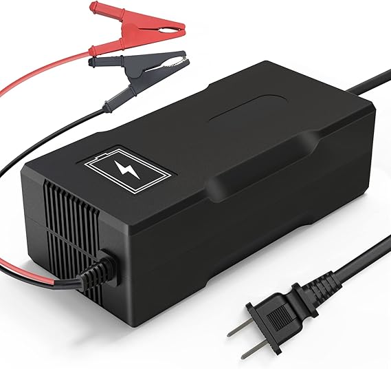 ladegerät lifepo4 12v 10a