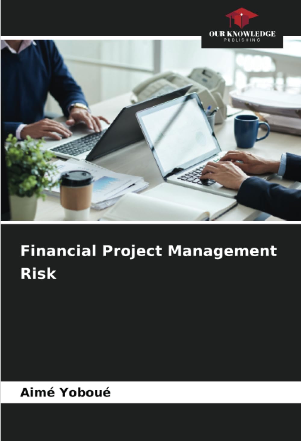 Financial Project Management Risk