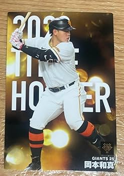 プロ野球チップス オーナーズリーグ 田中 岩隈セット Amazon.co.jp: 【プロ野球オーナーズリーグ】中田賢一 中日