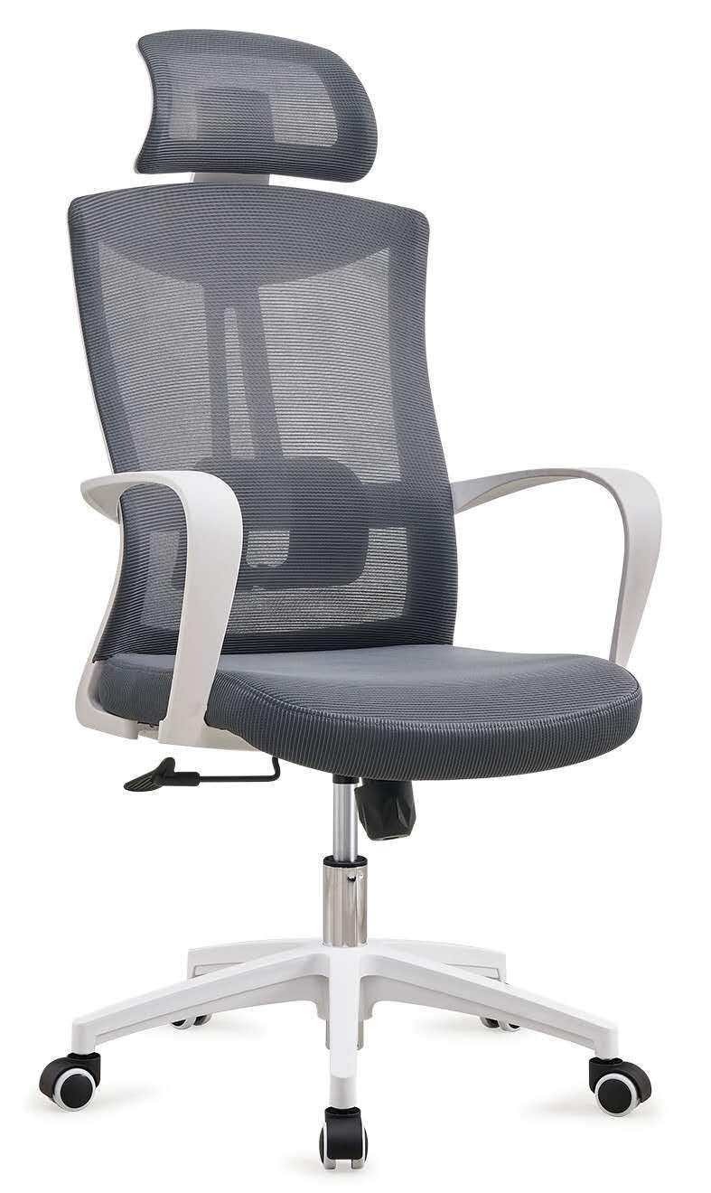 Buy LANNY High Back Mesh Chair Computer Adjustable Ergonomic Swivel
