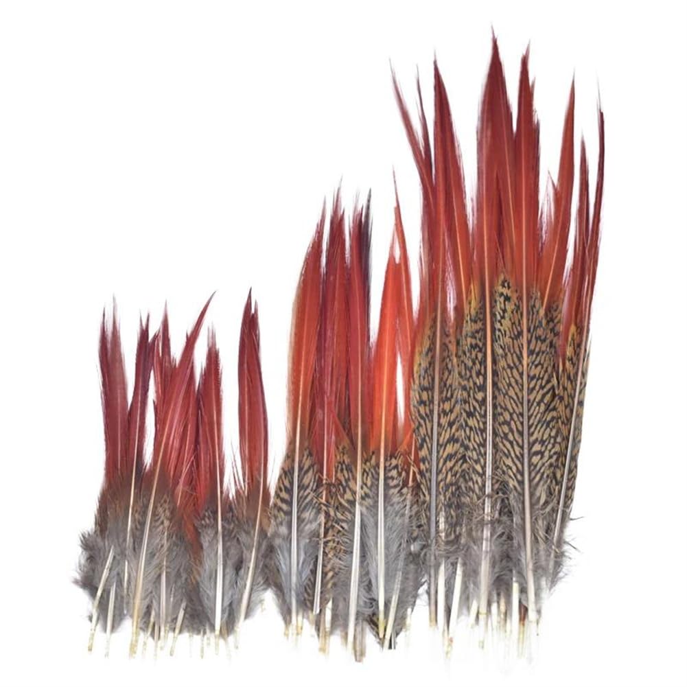 Natural Pheasant Feathers, Natural Color Pheasant Tail Feathers Craft 5 to 25 cm Multipack