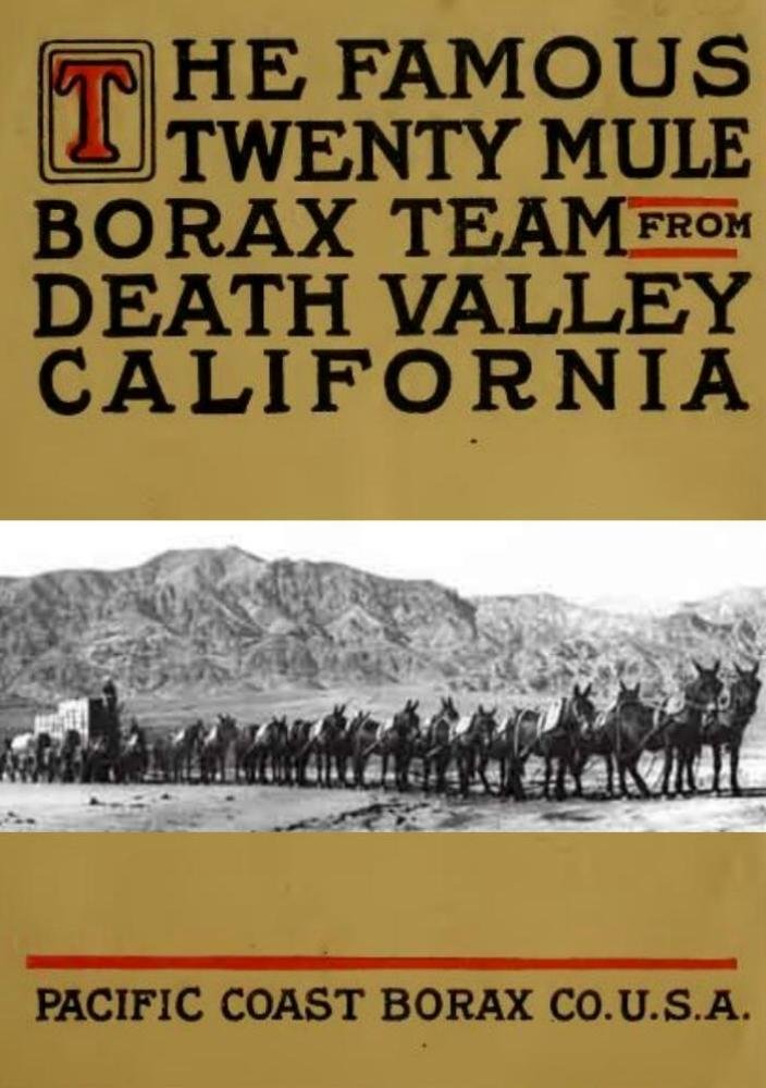 The Famous Twenty Mule Borax Team from Death Valley, California