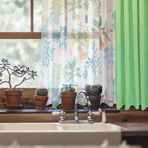 J[eSZbg  k Ռ _  킢 4g 􂦂 n  [t u[O[ 100x200