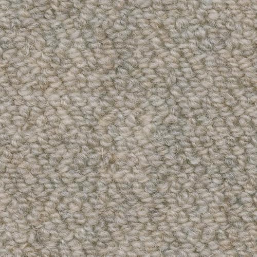 y[J[ybgV[Y Tr[g ]ˊԃTCYzhEdEh_jRہEJ[ybgEO~(イ)EOE[vEE[ (BER-1202, ]ˊ6(261×352cm))