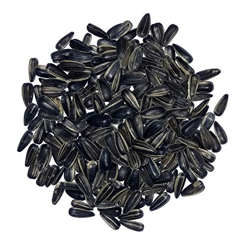 PetNest Premium Sunflower Seed Bird Food (0.45 kg)