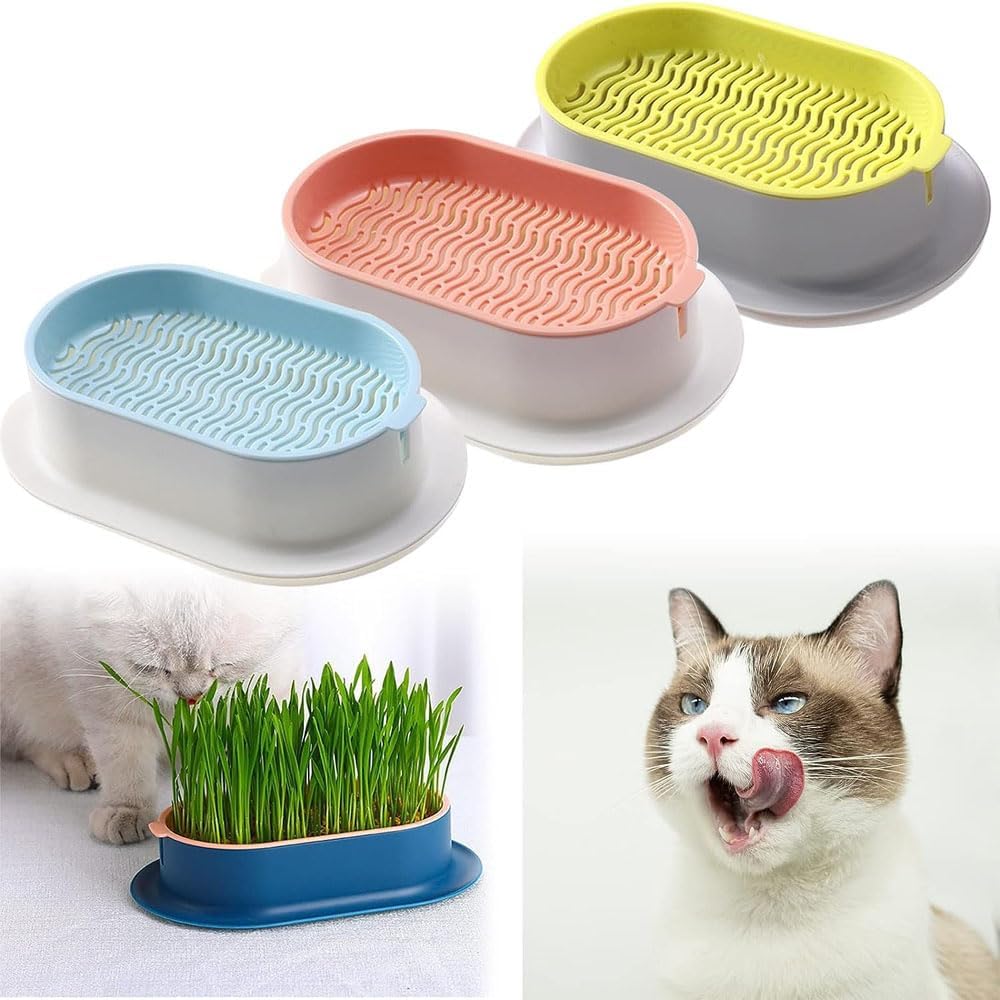 3pcs Cat Grass Planter, Cat Grass for Indoor Cats, Hydroponic Cat Grass