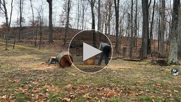 Amazon.com: V-MODEST 3-Pack 20 Inch Chainsaw Chains 81 Drive