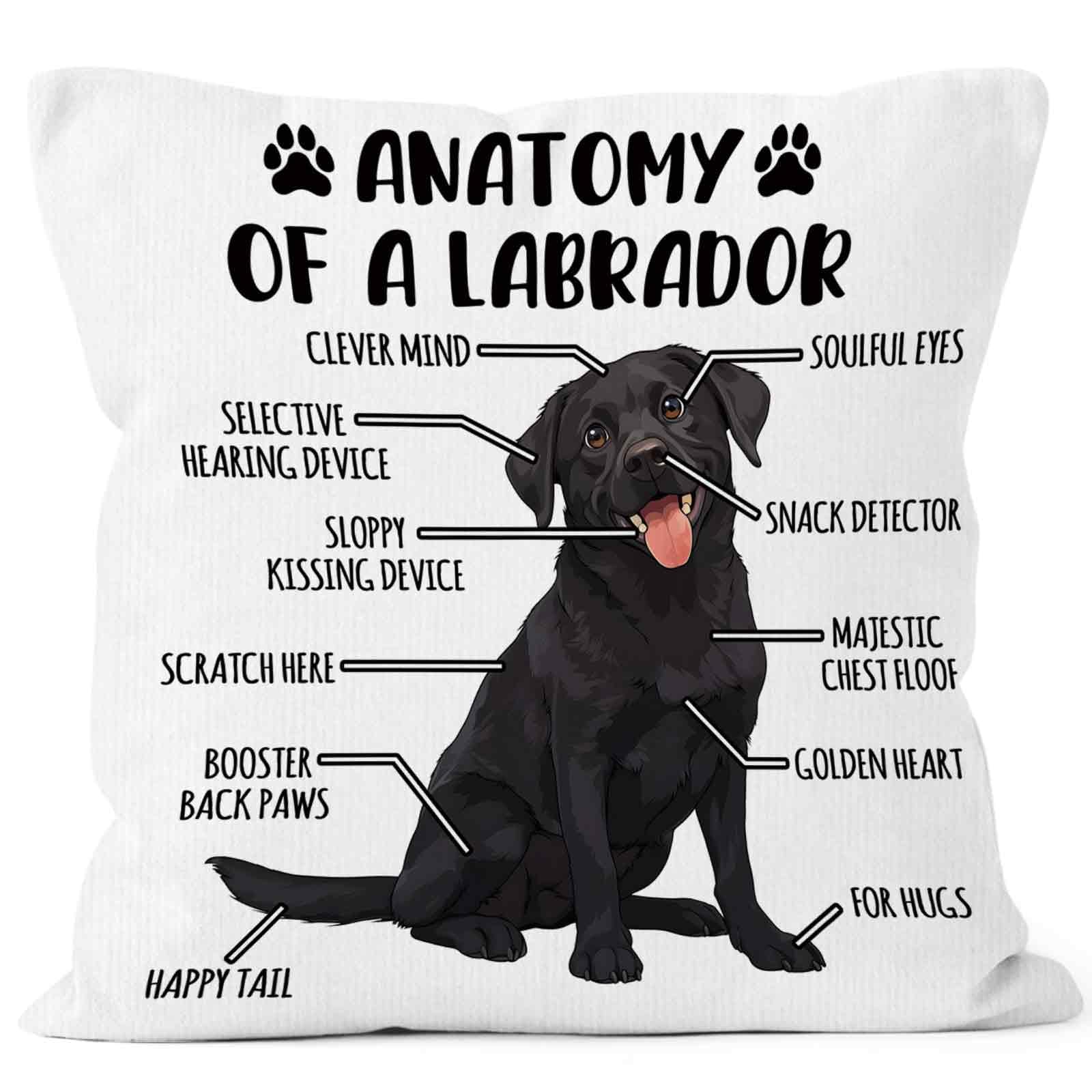 MONALET Funny Black Lab Dog Anatomy Throw Pillow Cover 18x18, Labrador Decor Decorative Pillow Case for Home Bedroom Living Room Couch Bed Sofa,