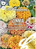 Zinnia Candy Stripe, N.L. Chrestensen Blumensamen, Zininen Saatgut, Sommerblumen, Blumen Samen, Blumenwiese für Garten und Balkon