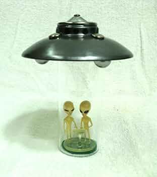 61fr0ZVteBL._AC_UF350,