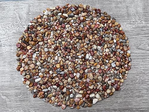 Crazy Lace Agate Chips – Natural Mini Crazy Lace Agate Stones, Crushed Undrilled Crazy Lace Agate, Semi-Tumbled Genuine Crazy Lace Agate (10 lbs Bulk)