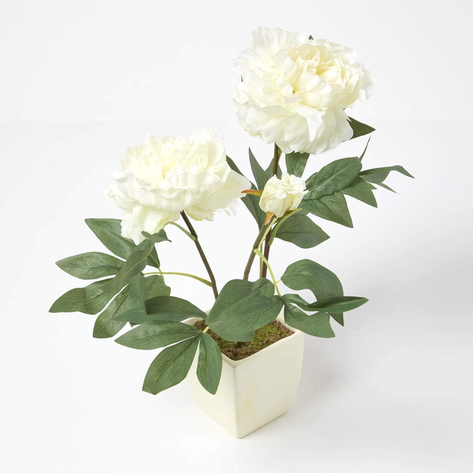 Homescapes Natur Cream Artificial Peonies In Decorative Cream Pot, 48 Cm Tall