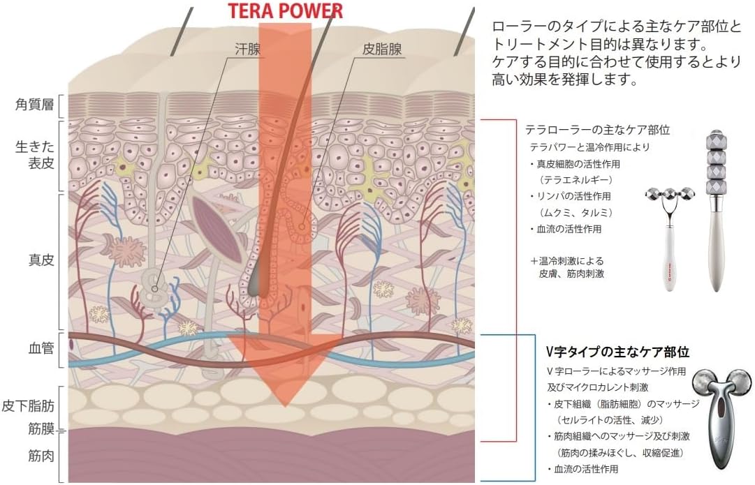 SALE❗️【美品】テラローラーμ（ミュー）美波動ローラー　説明書付き TERA ROLLER μ（テラローラー ミュー） | イスタンブール