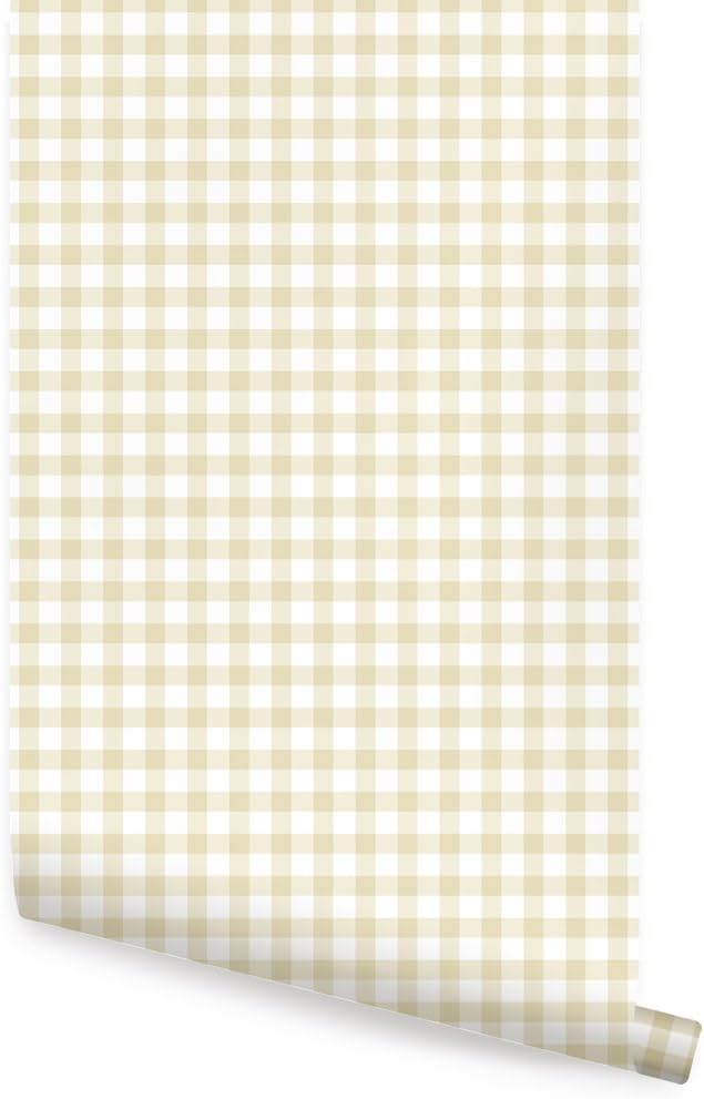 金子國義 リトグラフ 手彩色17/35 額装済 金子國義 『スワン