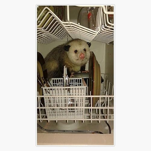 Adhesivo de vinilo para parachoques de zarigüeya para lavavajillas, 5 pulgadas