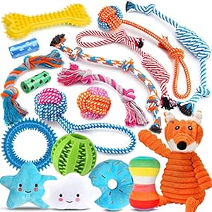 Zeaxuie 20 Pack Luxury Puppy Toys for Teething Small Dogs, Puppy Chew Toys with Rubber Toys, Ropes and More Squeaky Toys