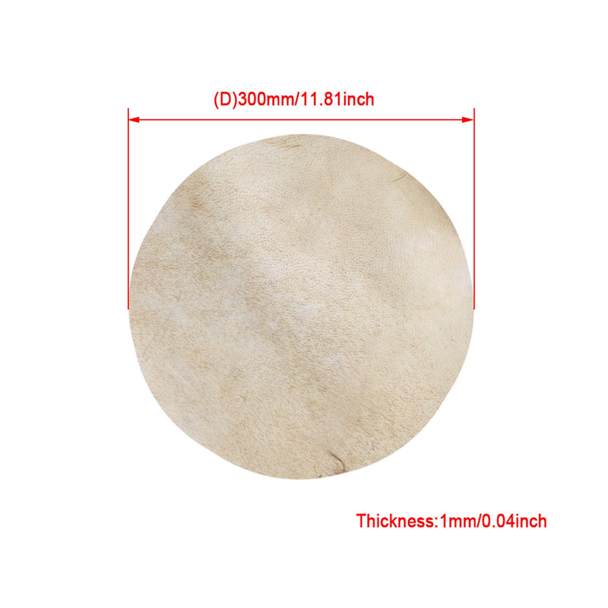 Lot de 2 Tambourins Professionnels 8" pour Percussion Diamètre 300mm
