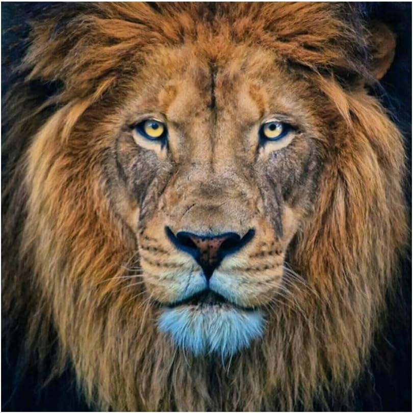 pittura di diamanti per bambini facile