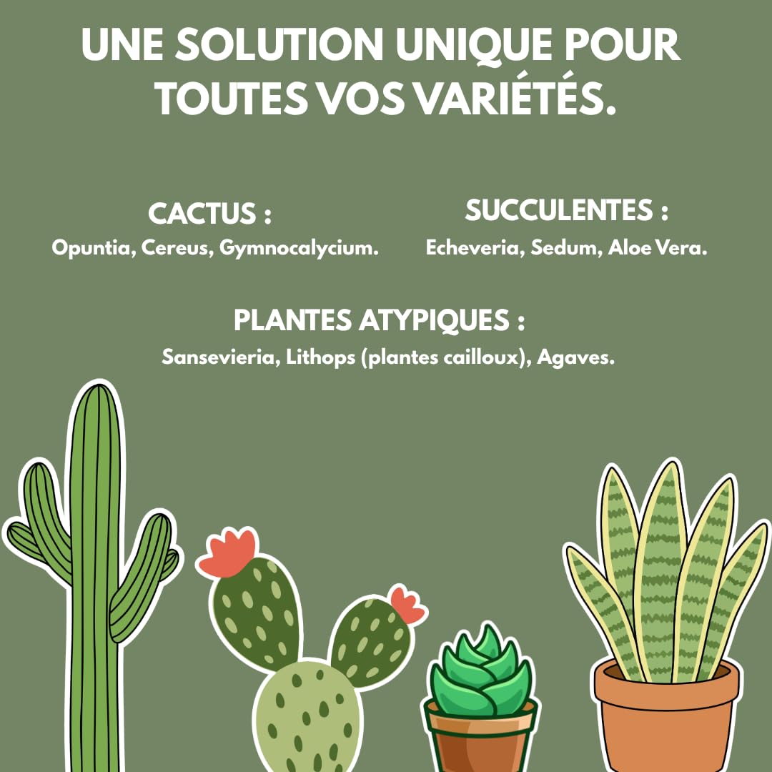 Engrais Liquide Cactus et Succulentes - 500ml - Made In France - 100% bio