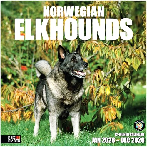 RED EMBER Norwegian Elkhounds 2026 Wall Calendar 12 Month | 12' x 24' Open | Thick & Sturdy Paper | Holiday Gift | Cute Puppy Dog Calendar 2026