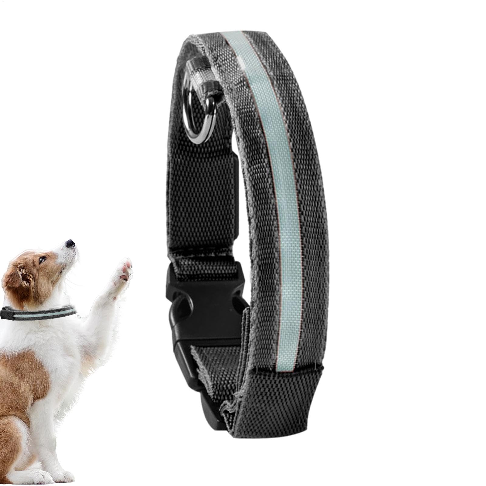 LED | Collare luminoso lampeggiante per cani, collari regolabili che | brillano al buio per cuccioli, cani di taglia media e piccola.
