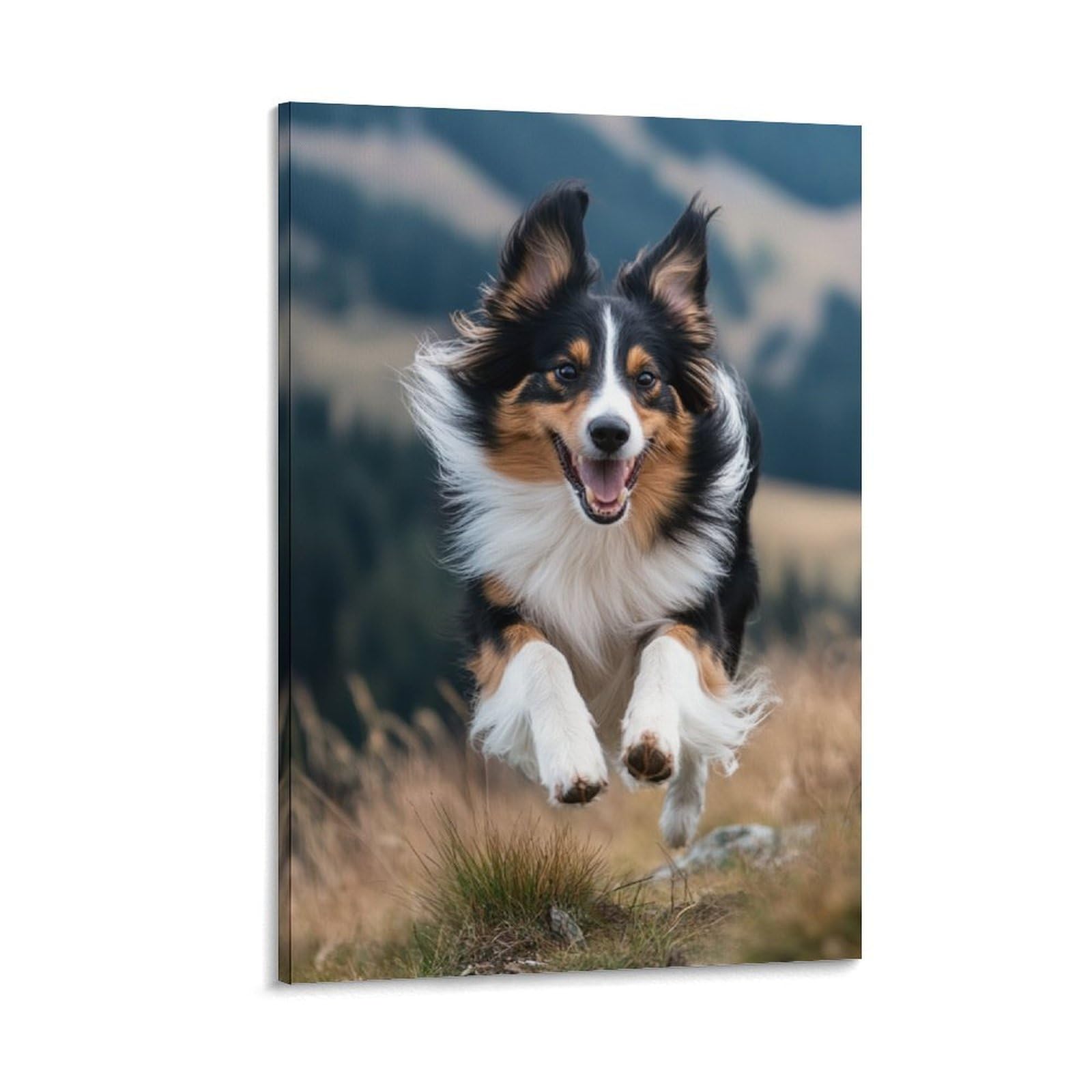 Tableau impression sur toile decoration murale image Shetland mouton