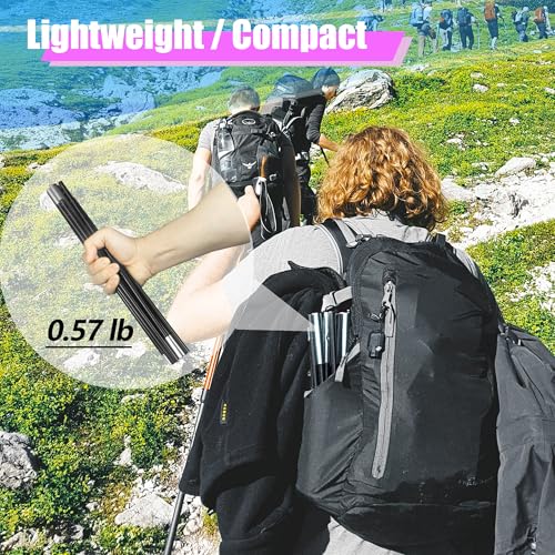 Betus Aluminum Tent Poles Replacement - Pre-Assembled Black Tent Pole for Hiking & Camping - Easy to Install Outdoor Tent Repair Rod (12Ft)