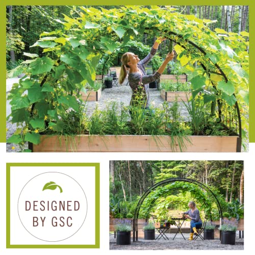 Gardener’s Supply Company Arch Trellis | Garden Arbor fits 2' x 8' Elevated Planter Boxes for Climbing Plants, Vegetables and Flowers | Decorative Outdoor Gardening Landscape