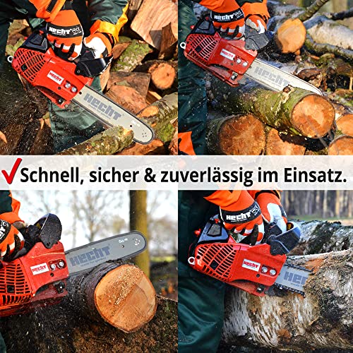 HECHT Benzin Kettensäge – 25,4 cm³ Hubraum – 30 cm Schwert – Rückschlagbremse – Kette – Kettenschmierung – 12 m/s… – Bild 3