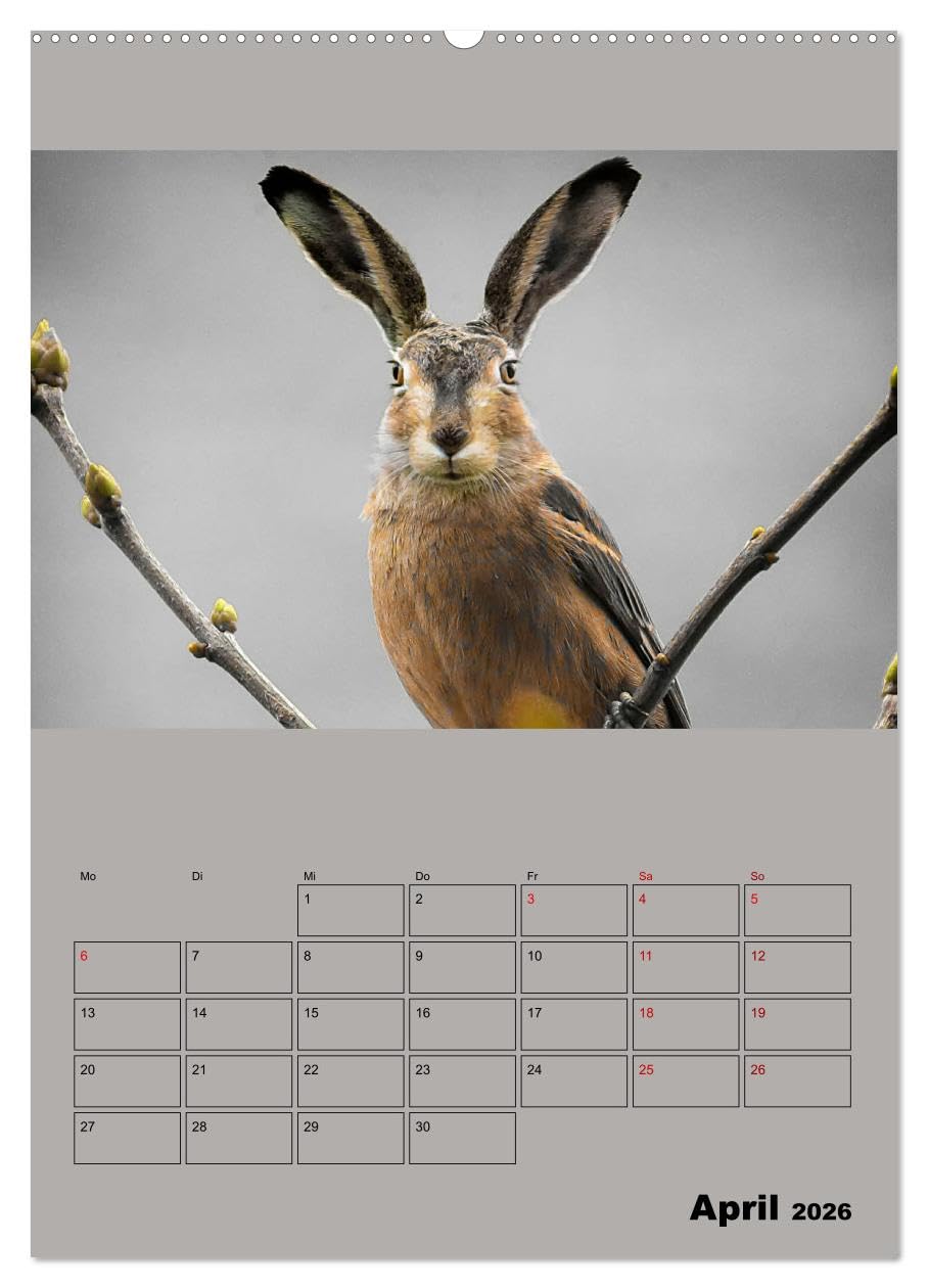 Seltsame Tiere - da stimmt doch was nicht... (hochwertiger Premium Wandkalender 2026 DIN A2 hoch), Kunstdruck in Hochglanz: Fantasiewesen, geboren aus erstaunlichen Bildmanipulationen (CALVENDO Tiere)