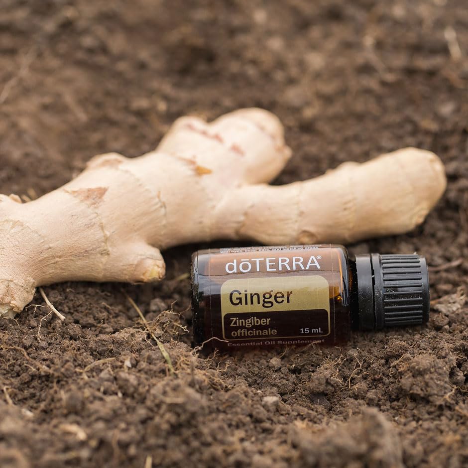 Amazon.com: doTERRA - Ginger Essential Oil - 15 mL : Health