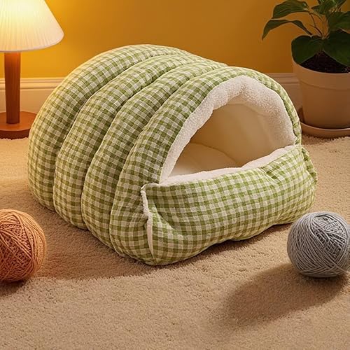 Lxbh LpQ ybgxbh h[^ g LbgnEX NbV ӂӂ B 􂦂 LQ  ybgnEX p xe ~p ۉ h ΍ (M,O[)