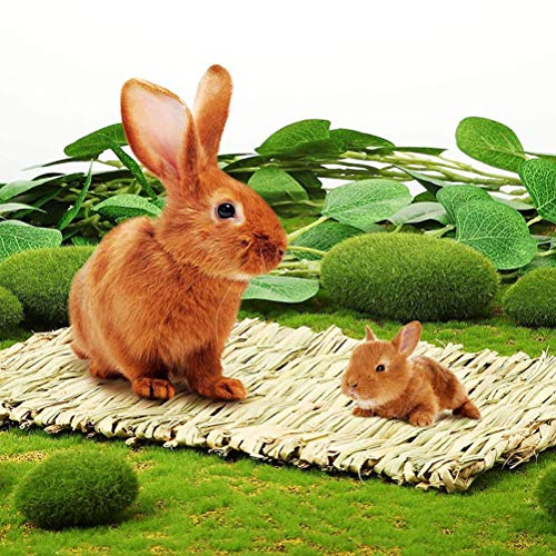 kathosn-8-PCS-Bunny-Grass-Mat-Natural-Woven-Pet-Bed-Nest-Mats-Rabbits-Chew-Toys-for-Hamsters-Parrot-Rabbits-Hedgehog-Guinea-Pig-Bunny-and-Other-Small-Animals