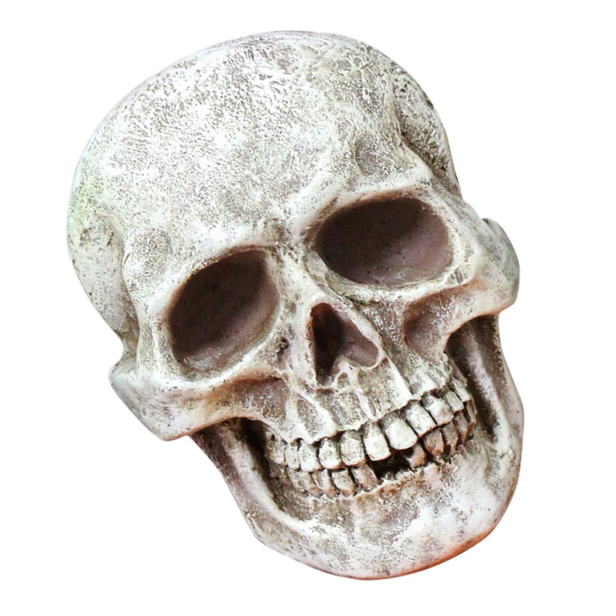 3 Piezas de Calaveras de Esqueleto para Fiestas de Halloween, Accesorios para Casas embrujadas, decoración de Casas embrujadas, Modelo de Esqueleto, Adornos de Cabezas de Calavera