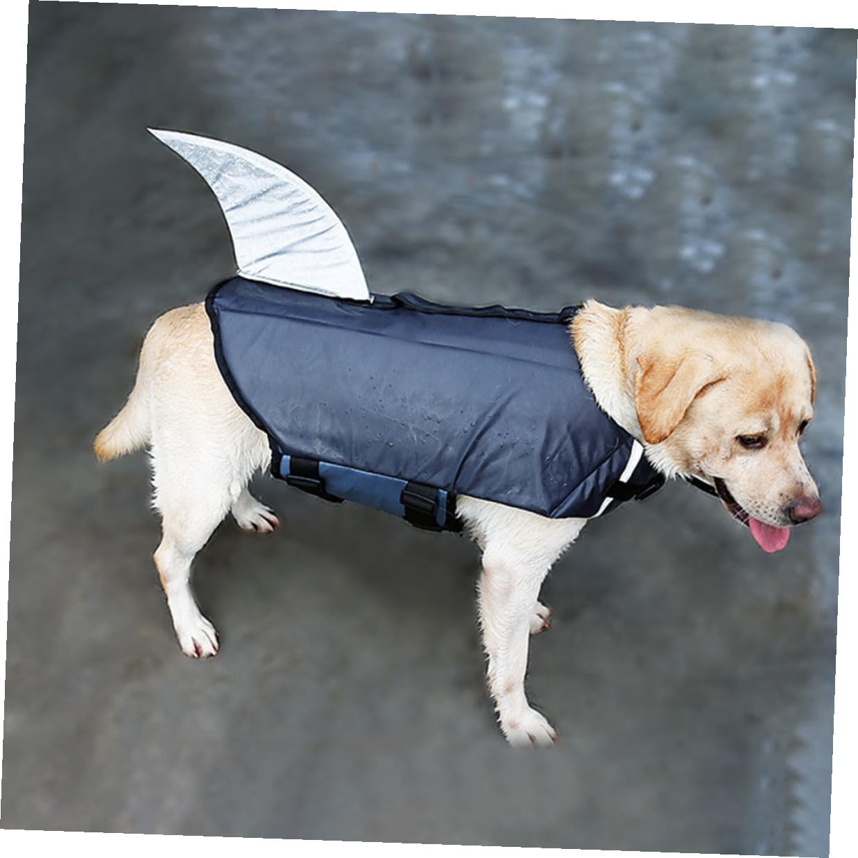 Dog Swim Vest Floating Life Jacket Reflective Gray Shark Costume XL for Outdoor Training Boating Pool Use