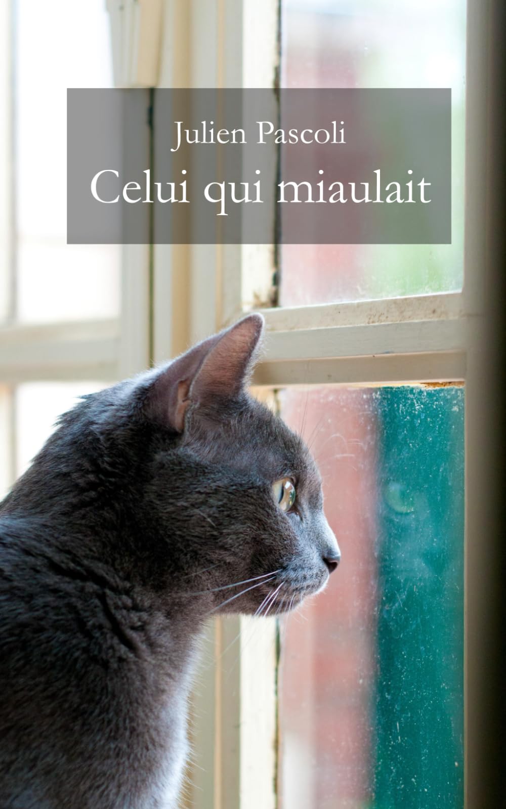 Celui qui miaulait: Chronique du chat Bidet