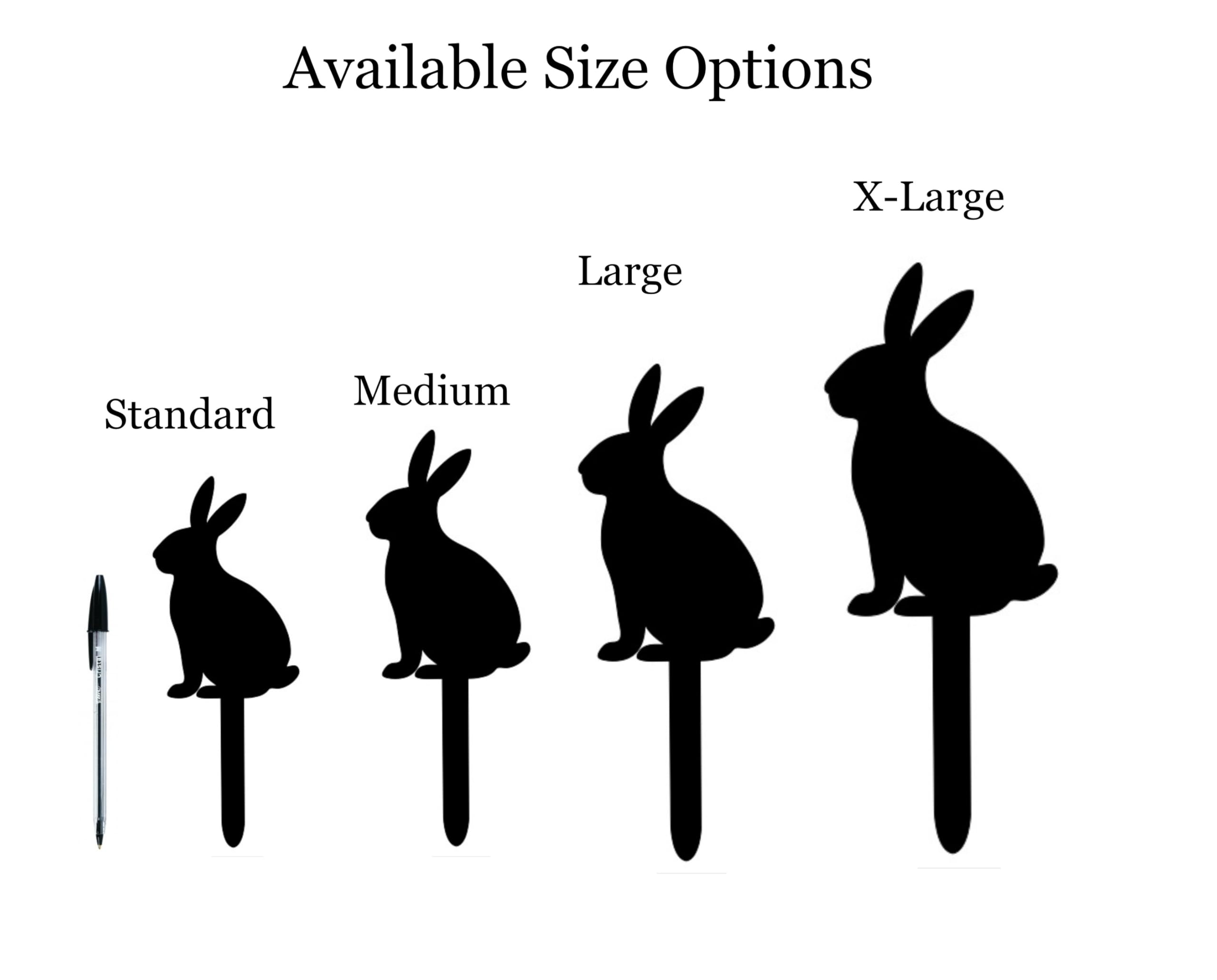 View 4