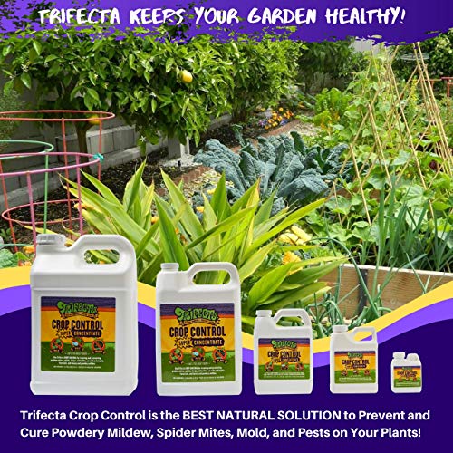 Trifecta Crop Control Super Concentrate All-in-One Natural Pesticide, Fungicide, Miticide, Insecticide, Eliminate Spider Mites, Powdery Mildew, Botrytis, Mold and More on Plants Non-Toxic - 16 OZ