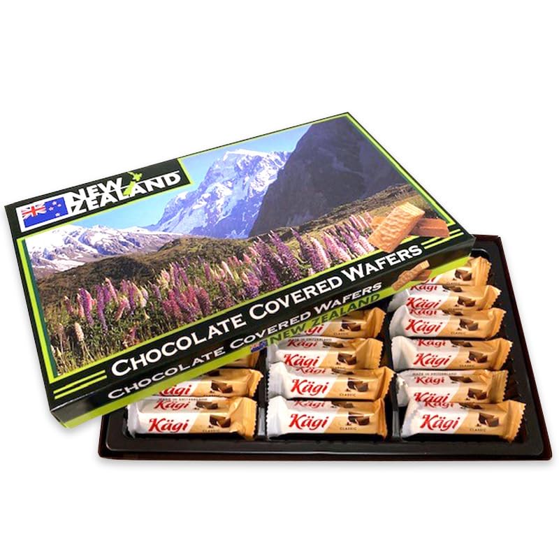 ビックサイズ　クッパ マイクワゾウスキ　グリーン チョコレート TAKEO KIKUCHI タケオキクチ 長財布 かぶせ 本革 メンズ ルーナ