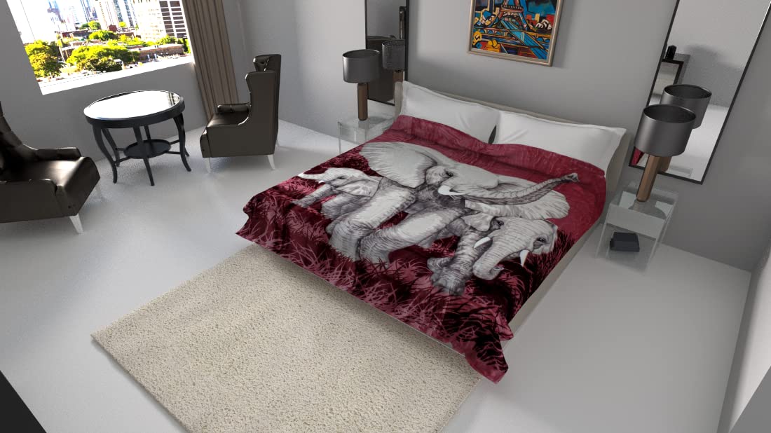 SOLARON Elephant Blanket l Korean Thick Heavy Weight Silk Soft Reversible Cobias Bed Comforter Bedspread Bedding King Queen Twin Winter Warm Season Throw (Elephant Burgundy, King (U.S. Standard))