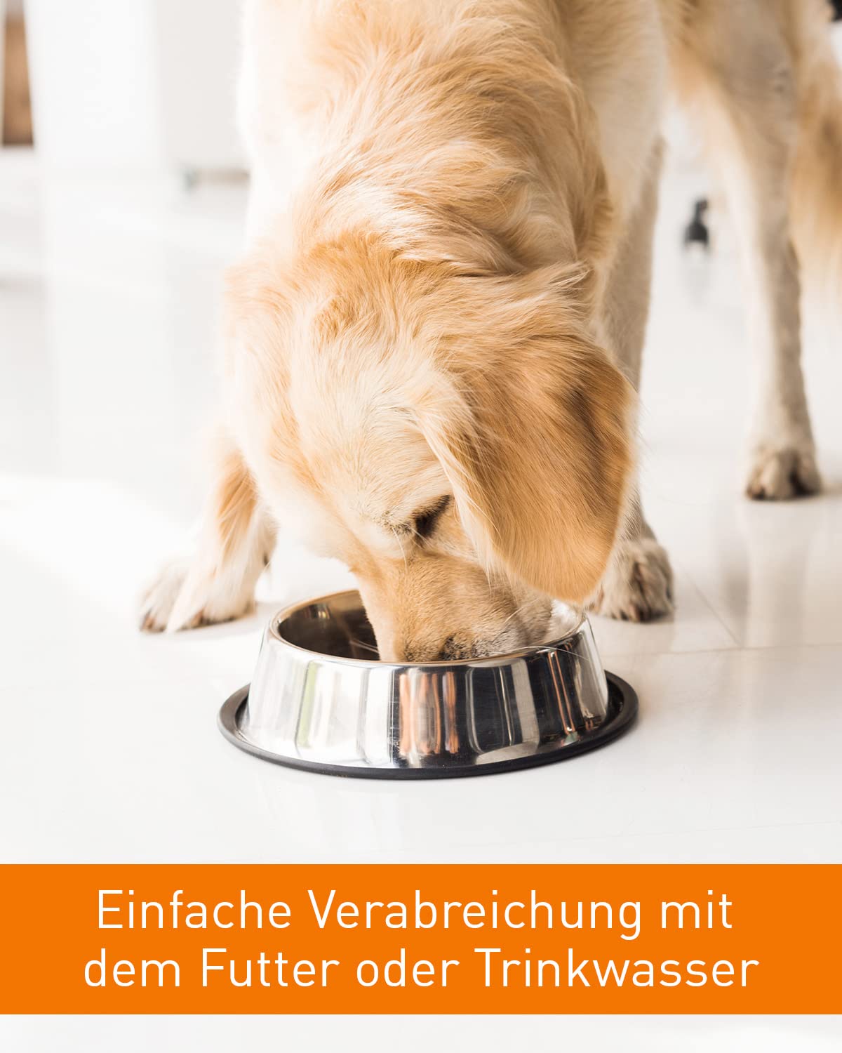 Vetoquinol URO-Pet Paste | Pack Double | 2 x 120 g | Complément Alimentaire pour Chiens et Chats | pour Soutenir la santé des Voies urinaires | avec l'acide aminé DL-méthionine