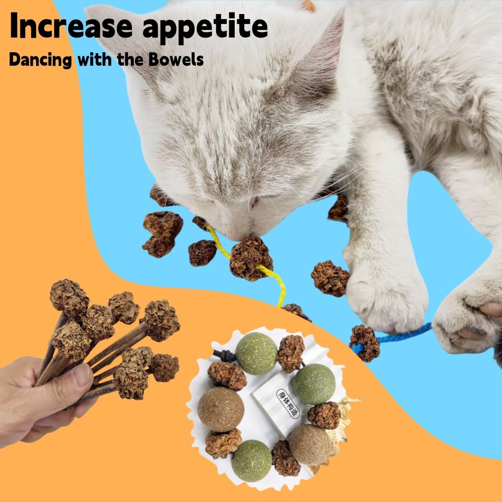 Frutas Matatabi,20pcs Juguetes para Gatos para Limpieza de Dentición,Cat Teething Toys,Snack Gatera para Limpiar Dientes