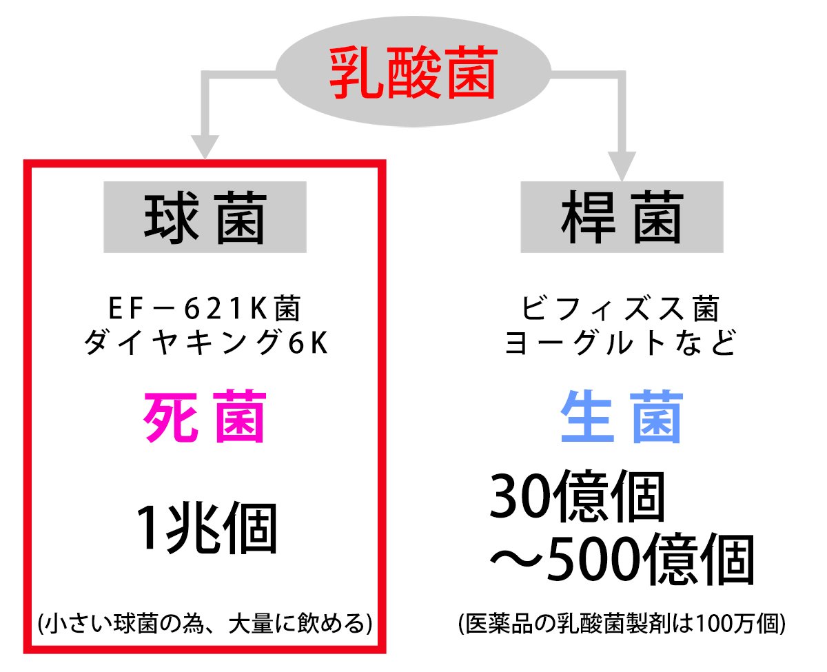 Amazon | 新型乳酸菌「NEWダイヤキング6K」(EF-621K菌)/1包あたり1兆個