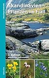 Skandinavien – Pflanzen im Fjäll: Bestimmungsbuch für Gebirgsflora
