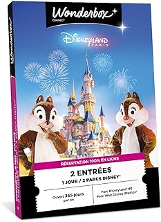 Wonderbox Connect - Coffret Cadeau - Disneyland Paris 1 Jour / 2 Parcs - 2 entrées pour 1 Jour - Parc Disneyland® et Walt Disney Studios® - Parc à thème - Validité 27 Mois