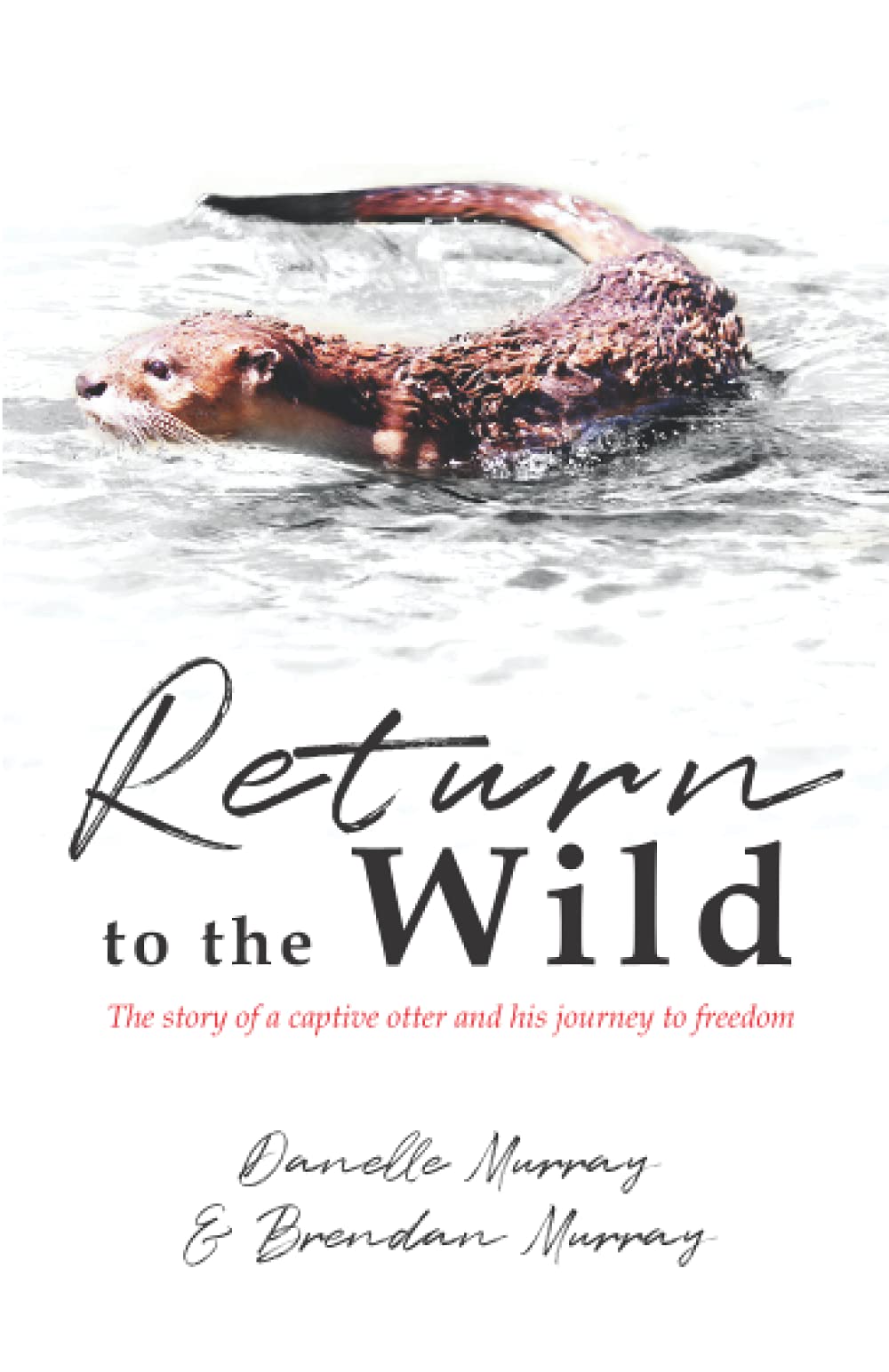 Return to the Wild
