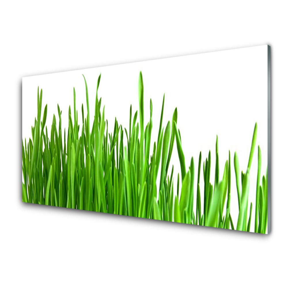 Tableau mural moderne en verre trempé 100x50cm pour revitaliser un mur vide et sombre
