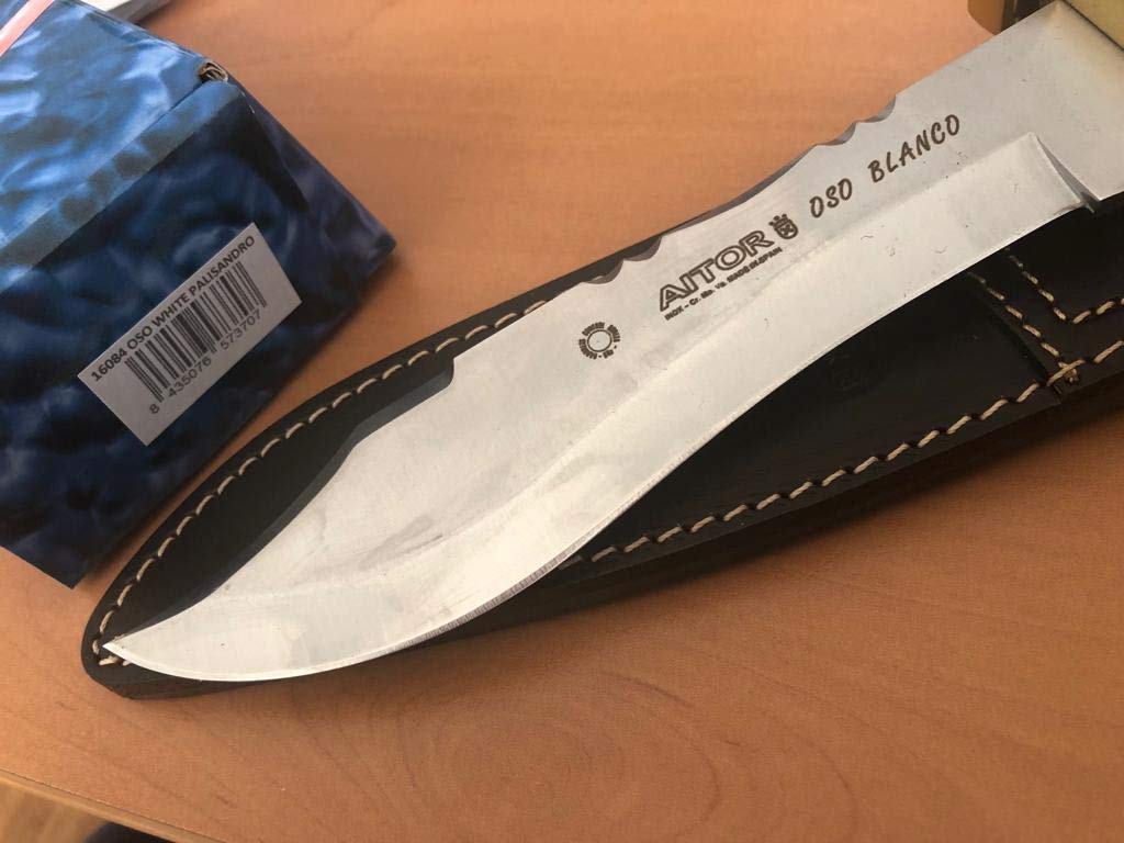 Aitor AI16084: OSO Bowie Wood