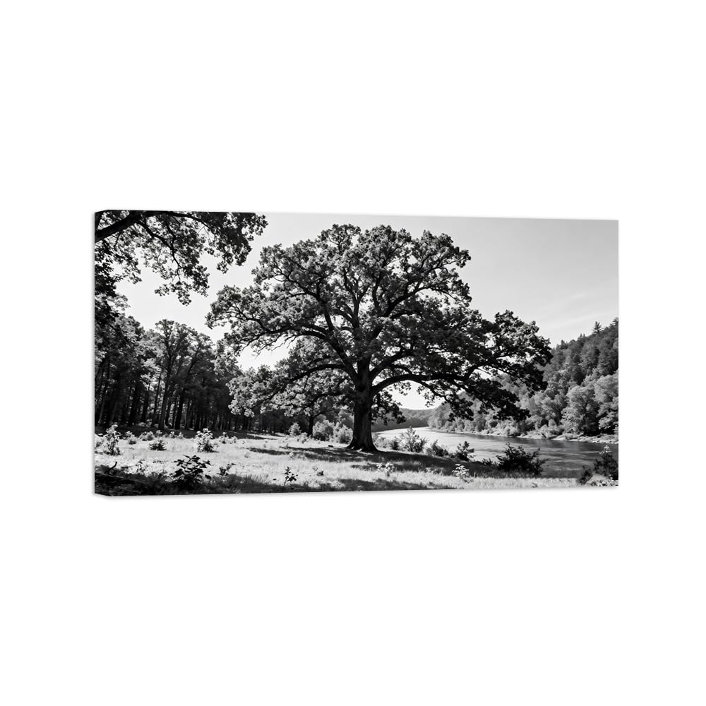 OZPWBVY River Tree Black White Landscape Wall Art Prints 50x90cm Framed